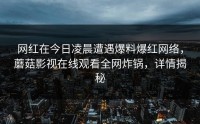 网红在今日凌晨遭遇爆料爆红网络，蘑菇影视在线观看全网炸锅，详情揭秘