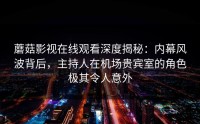 蘑菇影视在线观看深度揭秘：内幕风波背后，主持人在机场贵宾室的角色极其令人意外
