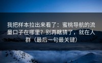 我把样本拉出来看了：蜜桃导航的流量口子在哪里？别再瞎猜了，就在人群（最后一句最关键）
