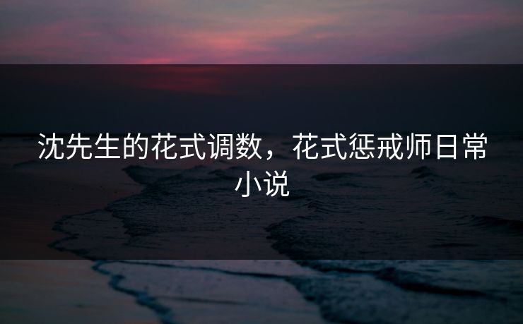 沈先生的花式调数，花式惩戒师日常小说