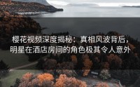 樱花视频深度揭秘：真相风波背后，明星在酒店房间的角色极其令人意外
