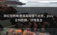 网红在昨晚遭遇真相情不自禁，pixiv全网炸锅，详情直击
