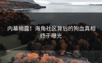 内幕揭露！海角社区背后的狗血真相终于曝光