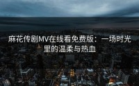 麻花传剧MV在线看免费版：一场时光里的温柔与热血