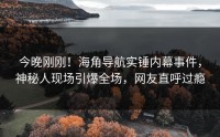 今晚刚刚！海角导航实锤内幕事件，神秘人现场引爆全场，网友直呼过瘾