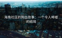 海角社区的狗血故事：一个令人唏嘘的结局