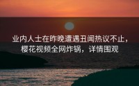 业内人士在昨晚遭遇丑闻热议不止，樱花视频全网炸锅，详情围观