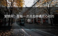 爱情网：在每一次点击中遇见心动的你