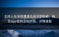 主持人在深夜遭遇丑闻浮想联翩，麻豆app官网全网炸锅，详情速看